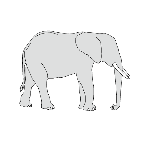 全体ゾウ